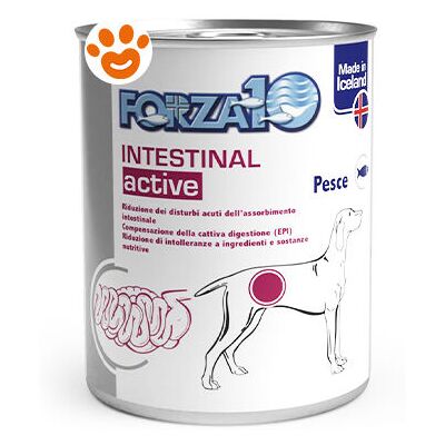 FORZA10 Dog Intestinal Active Pesce Dog Intestinal Active Pesce - Lattina Da 390 Gr - FORZA10 Dog Intestinal Active Pesce Dog Intestinal Active Pesce - Lattina Da 390 Gr -