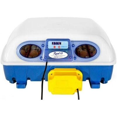 SUINGA - Incubatrice Automatica Per Uova Gallina O Qualsiasi Uccello.. Capacità 49 Uova. Giratore Automatico Delle Uova SUINGA - Incubatrice Automatica Per Uova Gallina O Qualsiasi Uccello.. Capacità 49 Uova. Giratore Automatico Delle Uova