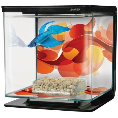 MARINA Betta Kit - Sun Swirl - MARINA Betta Kit - Sun Swirl -