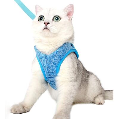 LANGRAY - Pettorina Per Gatti - Set Di Guinzaglio E Imbracatura Ultraleggera Per Gatti, Regolabile, Anti-fuga, Per Cuccioli, Conigli E Furetti (blu, L) LANGRAY - Pettorina Per Gatti - Set Di Guinzaglio E Imbracatura Ultraleggera Per Gatti, Regolabile, Anti-fuga, Per Cuccioli, Conigli E Furetti (blu, L)