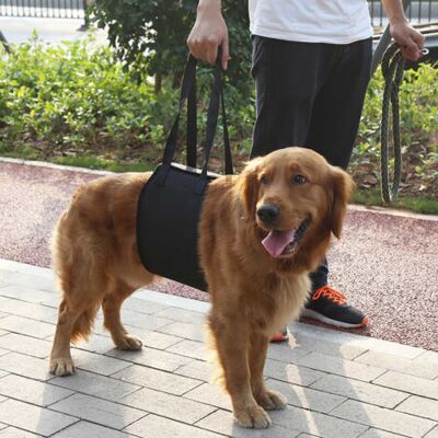 ULISEM Pettorina Nera Per La Riabilitazione Dei Cani Con Maniglia Per L'Assistenza Canina (l) ULISEM Pettorina Nera Per La Riabilitazione Dei Cani Con Maniglia Per L'Assistenza Canina (l)