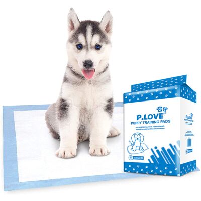 COOCHEER Tappetini Assorbenti Per Cani E Cuccioli, Impermeabili E Ad Asciugatura Rapida, Adatti Per L'Addestramento Al Vasino, Capacità Di Assorbimento Standard, Dimensioni Normali, L 6060cm/40 Pezzi COOCHEER Tappetini Assorbenti Per Cani E Cuccioli, Impermeabili E Ad Asciugatura Rapida, Adatti Per L'Addestramento Al Vasino, Capacità Di Assorbimento Standard, Dimensioni Normali, L 6060cm/40 Pezzi
