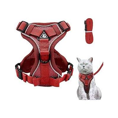 OEM Pettorina Per Gatti Con Guinzaglio, Regolabile, Anti-fuga, Rossa, S OEM Pettorina Per Gatti Con Guinzaglio, Regolabile, Anti-fuga, Rossa, S