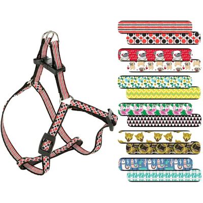 FERPLAST Fantasia P Xs Pettorina - . FERPLAST Fantasia P Xs Pettorina - .