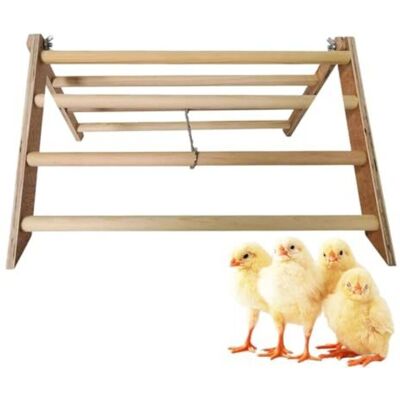 OEM Posatoio Interattivo In Legno Per Galline, Pappagalli E Ara – 37 X 32 X 20 Cm, Leggero E Robusto, Attrezzo Ginnico Per Uccelli OEM Posatoio Interattivo In Legno Per Galline, Pappagalli E Ara – 37 X 32 X 20 Cm, Leggero E Robusto, Attrezzo Ginnico Per Uccelli