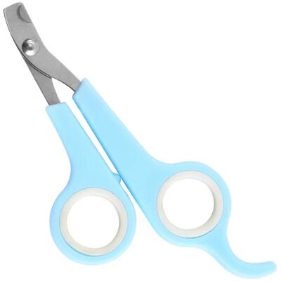 OEM 1xpet Tagliaunghie Forbici Gatto Cane Artiglio Forbici Forbici Taglierina Strumento Per La Cura Degli Animali Forniture Per Animali Domestici Tagliaunghie Per La Casa OEM 1xpet Tagliaunghie Forbici Gatto Cane Artiglio Forbici Forbici Taglierina Strumento Per La Cura Degli Animali Forniture Per Animali Domestici Tagliaunghie Per La Casa