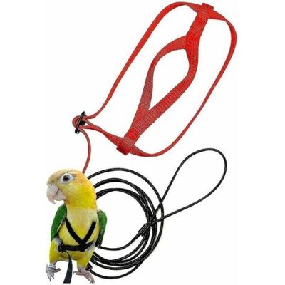 ULISEM Pettorina Regolabile Per Uccelli Da Compagnia, Pettorina Per Pappagalli, Guinzaglio, Corda Anti-morso Per Addestramento, Pettorina Da Volo Per Animali Domestici All'aperto --- Xs, Enlé ULISEM Pettorina Regolabile Per Uccelli Da Compagnia, Pettorina Per Pappagalli, Guinzaglio, Corda Anti-morso Per Addestramento, Pettorina Da Volo Per Animali Domestici All'aperto --- Xs, Enlé