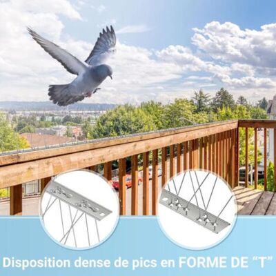 OEM Spikes Antipicconi In Acciaio Inossidabile 6,6m, Pack Da 20, Protezione Uccelli E Gatti, Amichevole Con Gli Animali OEM Spikes Antipicconi In Acciaio Inossidabile 6,6m, Pack Da 20, Protezione Uccelli E Gatti, Amichevole Con Gli Animali