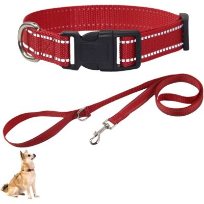OEM Collare Riflettente In Nylon Per Cani Di Piccola Taglia OEM Collare Riflettente In Nylon Per Cani Di Piccola Taglia