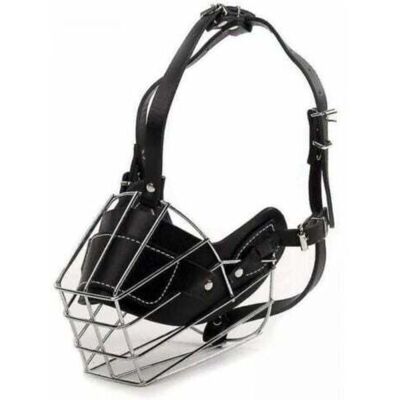 OEM Museruola In Pelle Nera Super Metallizzata Per Cani Di Piccola Taglia OEM Museruola In Pelle Nera Super Metallizzata Per Cani Di Piccola Taglia