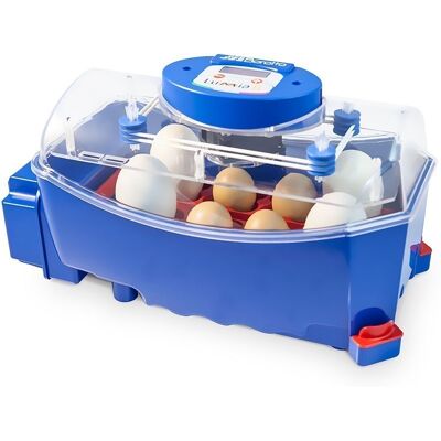 SUINGA - Incubatrice Automatica Per Uova Gallina O Qualsiasi Uccello.. Capacità 8 Uova. Giratore Automatico Delle Uova SUINGA - Incubatrice Automatica Per Uova Gallina O Qualsiasi Uccello.. Capacità 8 Uova. Giratore Automatico Delle Uova