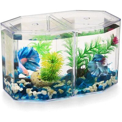 DPZO Acquario Da Tavolo In Miniatura: Piccolo Acquario Per Pesci Betta Con Divisorio Rimovibile, Ideale Per Pesci Betta E Pesci Rossi - Per Bambini Principianti DPZO Acquario Da Tavolo In Miniatura: Piccolo Acquario Per Pesci Betta Con Divisorio Rimovibile, Ideale Per Pesci Betta E Pesci Rossi - Per Bambini Principianti