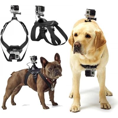 OEM Custodia Regolabile Per Gopro, Adatta A Cani Di Taglia Grande, Media E Piccola, Utilizzabile Per Il Montaggio Sul Petto O Sulla Schiena. OEM Custodia Regolabile Per Gopro, Adatta A Cani Di Taglia Grande, Media E Piccola, Utilizzabile Per Il Montaggio Sul Petto O Sulla Schiena.