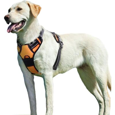 TREETALK Pettorina Per Cani Xl, Pettorina Antistrappo, Facile Da Indossare, Senza Maniglia, Pettorina Riflettente, Traspirante, Resistente, Pettorina Per Cani Di Taglia Media E Grande TREETALK Pettorina Per Cani Xl, Pettorina Antistrappo, Facile Da Indossare, Senza Maniglia, Pettorina Riflettente, Traspirante, Resistente, Pettorina Per Cani Di Taglia Media E Grande