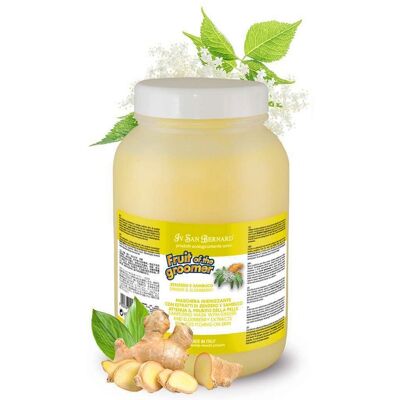 IV SAN BERNARD - Balsamo Frutto Del Toelettatore Zenzero E Sambuco 1 Litro Offerta Esclusiva IV SAN BERNARD - Balsamo Frutto Del Toelettatore Zenzero E Sambuco 1 Litro Offerta Esclusiva