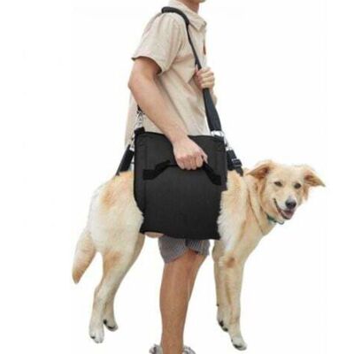 OEM (m, Nero) Imbracatura Per Il Trasporto Di Cani, Zaino Di Emergenza Per Il Supporto E La Riabilitazione Delle Zampe Dell'animale. OEM (m, Nero) Imbracatura Per Il Trasporto Di Cani, Zaino Di Emergenza Per Il Supporto E La Riabilitazione Delle Zampe Dell'animale.