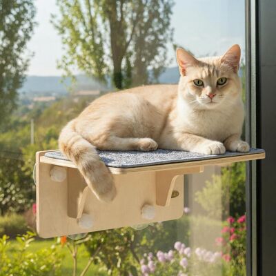 OEM Amaca Per Gatti Con Finestra E Vista Per Osservare Gli Uccelli, Amaca Per Gatti, Tiragraffi Da Parete Per Gattini 40×26×18 Cm, Comoda Cuccia Per Gatti Con 4 Ventose, Facile Da Montare, Fino A 12-15 Kg OEM Amaca Per Gatti Con Finestra E Vista Per Osservare Gli Uccelli, Amaca Per Gatti, Tiragraffi Da Parete Per Gattini 40×26×18 Cm, Comoda Cuccia Per Gatti Con 4 Ventose, Facile Da Montare, Fino A 12-15 Kg
