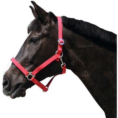Kerbl Cabazada Classic Nylon Horse, Rosso, Taglia 2 - Kerbl Cabazada Classic Nylon Horse, Rosso, Taglia 2 -