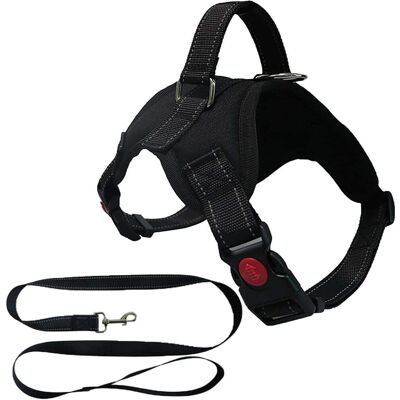 OEM Pettorina Per Cani Comoda, Traspirante E Regolabile Con Catarifrangenti + Guinzaglio M OEM Pettorina Per Cani Comoda, Traspirante E Regolabile Con Catarifrangenti + Guinzaglio M