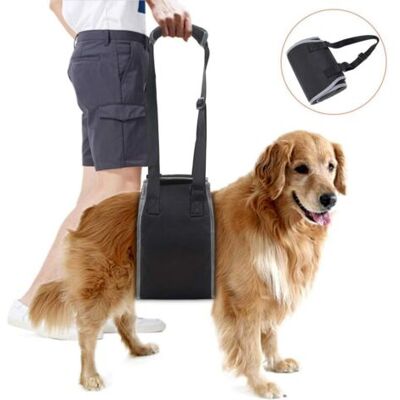 OEM Imbracatura Di Supporto Per Cani Anziani, Cintura Di Sollevamento Per Cani Disabili, Nera, Facilita L'Entrata E L'Uscita. OEM Imbracatura Di Supporto Per Cani Anziani, Cintura Di Sollevamento Per Cani Disabili, Nera, Facilita L'Entrata E L'Uscita.