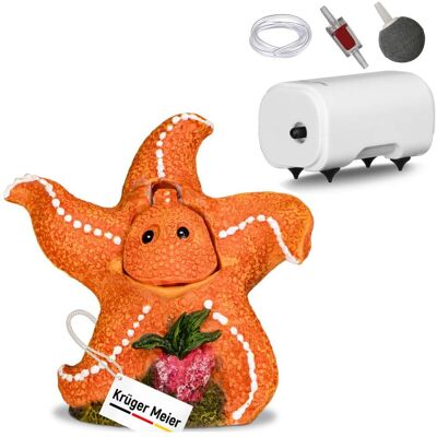 OEM Set Kruger Meier Happy Starfish - Decorazione Per Acquario Con Aeratore OEM Set Kruger Meier Happy Starfish - Decorazione Per Acquario Con Aeratore