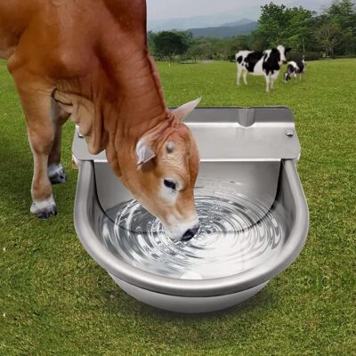 OEM Abbeveratoio Per Cavalli In Acciaio Inossidabile Con Valvola A Galleggiante Regolabile In Ottone Da 1/2" E Fori Di Scarico Per Abbeveratoi Per Cavalli, Mucche, Maiali, Capre, Pecore E Cani OEM Abbeveratoio Per Cavalli In Acciaio Inossidabile Con Valvola A Galleggiante Regolabile In Ottone Da 1/2" E Fori Di Scarico Per Abbeveratoi Per Cavalli, Mucche, Maiali, Capre, Pecore E Cani