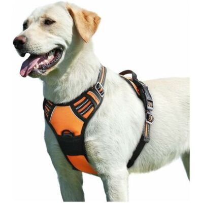 OEM Pettorina Per Cani Di Taglia Media E Grande – Regolabile Anti-trazione – Materiale In Nylon Resistente – Rete Traspirante – Maniglia Di Controllo Riflettente OEM Pettorina Per Cani Di Taglia Media E Grande – Regolabile Anti-trazione – Materiale In Nylon Resistente – Rete Traspirante – Maniglia Di Controllo Riflettente