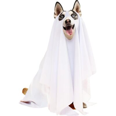 OEM Costume Da Cane Fantasma Di Halloween (bianco) OEM Costume Da Cane Fantasma Di Halloween (bianco)