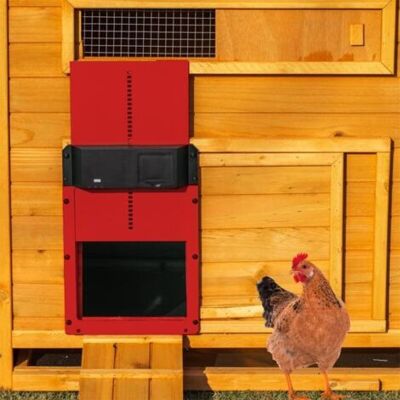 OEM Apriporta Per Pollaio Con Sensore Di Luce. Porta Automatica Per Pollaio. Allevamento Di Polli Sicuro (rosso). OEM Apriporta Per Pollaio Con Sensore Di Luce. Porta Automatica Per Pollaio. Allevamento Di Polli Sicuro (rosso).