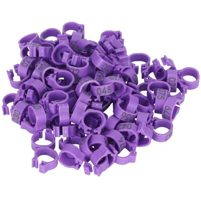 VISTRECK Confezione Da 100 Anelli Per Zampe Di Piccione – Riutilizzabili – Numerati – Identificativi – Viola – Leggeri VISTRECK Confezione Da 100 Anelli Per Zampe Di Piccione – Riutilizzabili – Numerati – Identificativi – Viola – Leggeri