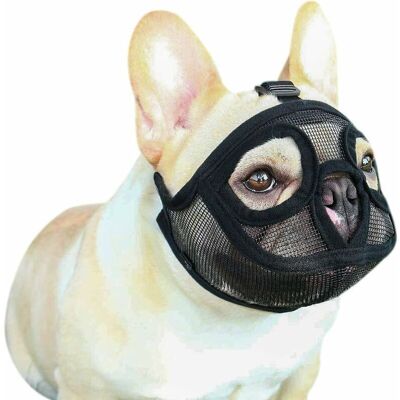 XISRENS Museruola A Rete Per Cani Taglia S (6-13,5 Kg) Per Cani A Muso Corto, Museruola Regolabile Per Bulldog Francesi, Protezione Per La Bocca Anti-masticazione/abbaio Per Bulldog Inglesi XISRENS Museruola A Rete Per Cani Taglia S (6-13,5 Kg) Per Cani A Muso Corto, Museruola Regolabile Per Bulldog Francesi, Protezione Per La Bocca Anti-masticazione/abbaio Per Bulldog Inglesi