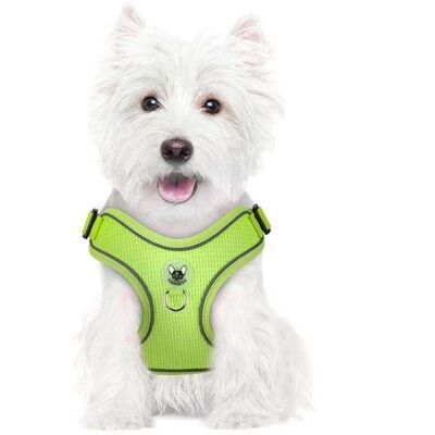 OEM Pettorina Per Cani Con Guinzaglio Per Passeggiate, Riflettente, Regolabile, Morbida, Taglia L, Verde OEM Pettorina Per Cani Con Guinzaglio Per Passeggiate, Riflettente, Regolabile, Morbida, Taglia L, Verde