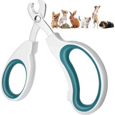 COOCHEER Il Tagliaunghie Professionale Per Gatti È Facile Da Usare, Semplicissimo E Pratico, Taglio Preciso, Molto Adatto Ai Gatti, Facile Da Usare Anche Per I Principianti. COOCHEER Il Tagliaunghie Professionale Per Gatti È Facile Da Usare, Semplicissimo E Pratico, Taglio Preciso, Molto Adatto Ai Gatti, Facile Da Usare Anche Per I Principianti.