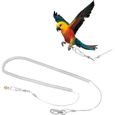 DPZO Corda Per Pappagalli Da 6 M, Regolabile, Anti-morso, Per Addestramento Al Volo, Guinzaglio, Imbracatura Per Uccelli, Trazione Per Animali Domestici, Per Esterni, Per Cacatua, Parrocchetti, Calopsitte DPZO Corda Per Pappagalli Da 6 M, Regolabile, Anti-morso, Per Addestramento Al Volo, Guinzaglio, Imbracatura Per Uccelli, Trazione Per Animali Domestici, Per Esterni, Per Cacatua, Parrocchetti, Calopsitte
