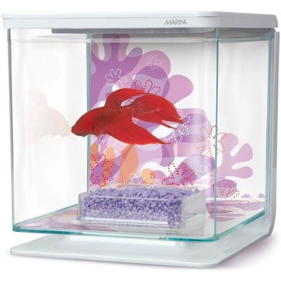 MARINA Betta Kit - Fiore - MARINA Betta Kit - Fiore -