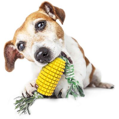 OEM Giocattoli Da Masticare Per Cani, Adatti A Cani Che Amano Masticare, Indistruttibili, Resistenti, Durevoli E Interattivi, Adatti A Cuccioli Di Piccola, Media E Grande Taglia. OEM Giocattoli Da Masticare Per Cani, Adatti A Cani Che Amano Masticare, Indistruttibili, Resistenti, Durevoli E Interattivi, Adatti A Cuccioli Di Piccola, Media E Grande Taglia.