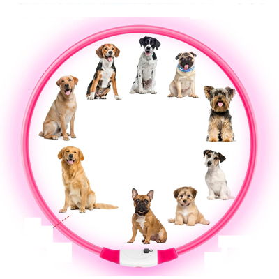 OEM Collare Per Animali Domestici Auauy Con Luci Led, Ricaricabile Tramite Usb, Removibile, Impermeabile, Regolabile, Per Cani E Gatti Di Piccola, Media E Grande Taglia (rosa) OEM Collare Per Animali Domestici Auauy Con Luci Led, Ricaricabile Tramite Usb, Removibile, Impermeabile, Regolabile, Per Cani E Gatti Di Piccola, Media E Grande Taglia (rosa)