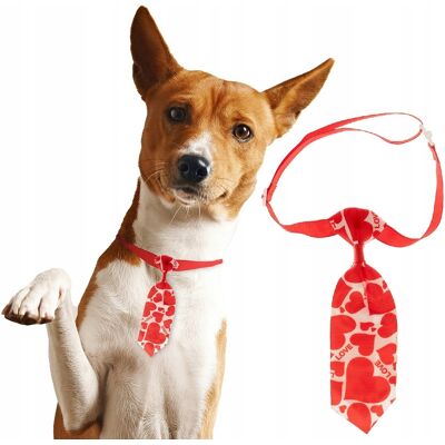 OEM Cravatta Di San Valentino Per Animali Domestici: Cane, Gatto, Alunno, Con Cuori Rossi OEM Cravatta Di San Valentino Per Animali Domestici: Cane, Gatto, Alunno, Con Cuori Rossi