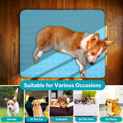 OEM Tappetino Rinfrescante Per Cani 100x70 Cm, Coperta Autoraffreddante Lavabile E Riutilizzabile, Blu - Altro OEM Tappetino Rinfrescante Per Cani 100x70 Cm, Coperta Autoraffreddante Lavabile E Riutilizzabile, Blu - Altro