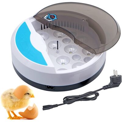 OEM Mini Incubatrice Per 9 Uova, Per Pulcini, Con Controllo Automatico Della Temperatura E Display Digitale A Led. Incubatrice Per Tartarughe, Pollame E Rettili, Ideale Come Regalo Per Bambini. OEM Mini Incubatrice Per 9 Uova, Per Pulcini, Con Controllo Automatico Della Temperatura E Display Digitale A Led. Incubatrice Per Tartarughe, Pollame E Rettili, Ideale Come Regalo Per Bambini.