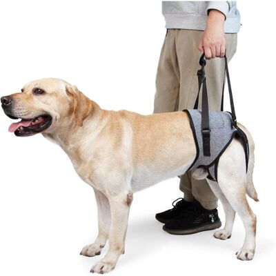 XISRENS Imbracatura Di Sollevamento Per Cani – Imbracatura Di Supporto Per Zampe Posteriori – Fascia Di Supporto Morbida Per Cani Infortunati Di Piccola, Media E Grande Taglia (xl, Grigio) XISRENS Imbracatura Di Sollevamento Per Cani – Imbracatura Di Supporto Per Zampe Posteriori – Fascia Di Supporto Morbida Per Cani Infortunati Di Piccola, Media E Grande Taglia (xl, Grigio)