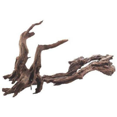 AMTRA Set 5 Pezzi Legno Ikebana Medium: Set 10 Pezzi Legno Ikebana Decorazioni Per Acquario AMTRA Set 5 Pezzi Legno Ikebana Medium: Set 10 Pezzi Legno Ikebana Decorazioni Per Acquario