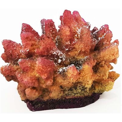 TRADE SHOP TRAESIO - Corallo In Resina Ornamento Per Acquario 15x10.5x13 Cm Sottomarino Decorazioni - TRADE SHOP TRAESIO - Corallo In Resina Ornamento Per Acquario 15x10.5x13 Cm Sottomarino Decorazioni -
