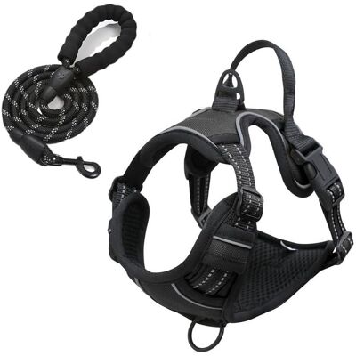 OEM Pettorina Antistrappo Per Cani + Guinzaglio Ammortizzante - Taglia Regolabile Per Cani Di Taglia Media/grande/extra Grande - Neoprene Traspirante, Anti-soffocamento - Nero, Taglia Media OEM Pettorina Antistrappo Per Cani + Guinzaglio Ammortizzante - Taglia Regolabile Per Cani Di Taglia Media/grande/extra Grande - Neoprene Traspirante, Anti-soffocamento - Nero, Taglia Media