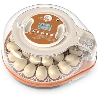 OEM Incubatrice Da 26 Uova Per La Schiusa Di Uova Di Gallina, Quaglia, Anatra E Tacchino, Con Girauova Automatico, Controllo Dell'umidità E Display Digitale, Include Sperauova E Sistema Di Ricarica Dell'a OEM Incubatrice Da 26 Uova Per La Schiusa Di Uova Di Gallina, Quaglia, Anatra E Tacchino, Con Girauova Automatico, Controllo Dell'umidità E Display Digitale, Include Sperauova E Sistema Di Ricarica Dell'a
