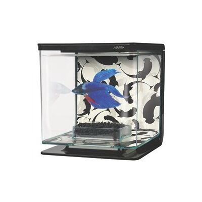 MARINA - Betta Kit - Ying Yang MARINA - Betta Kit - Ying Yang