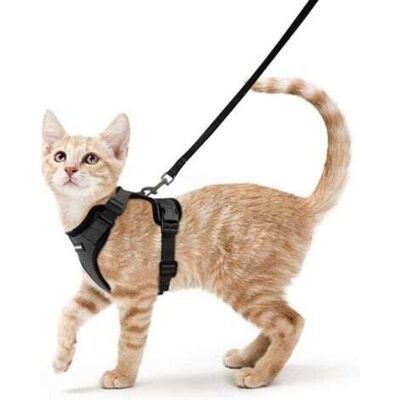 OEM Pettorina Per Gatti, Pettorina Per Cani Di Piccola Taglia, Pettorina Regolabile Per Gattini, Gilet Riflettente E Traspirante, Collare, Pettorina E Guinzaglio, Sistema Di Sicurezza Antifuga Per Conigli OEM Pettorina Per Gatti, Pettorina Per Cani Di Piccola Taglia, Pettorina Regolabile Per Gattini, Gilet Riflettente E Traspirante, Collare, Pettorina E Guinzaglio, Sistema Di Sicurezza Antifuga Per Conigli