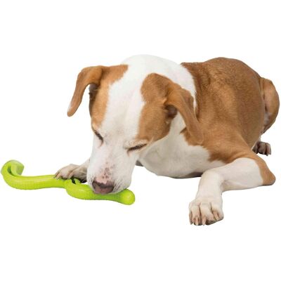 OEM Serpente Giocattolo Per Snack, Robusto, In Tpr, Lungo 41 Cm E Di Colore Verde, Riempibile Con Snack, Giocattoli Da Masticare E Burro Per Il Tuo Cane, Regalandogli Momenti Di Puro Divertimento. OEM Serpente Giocattolo Per Snack, Robusto, In Tpr, Lungo 41 Cm E Di Colore Verde, Riempibile Con Snack, Giocattoli Da Masticare E Burro Per Il Tuo Cane, Regalandogli Momenti Di Puro Divertimento.