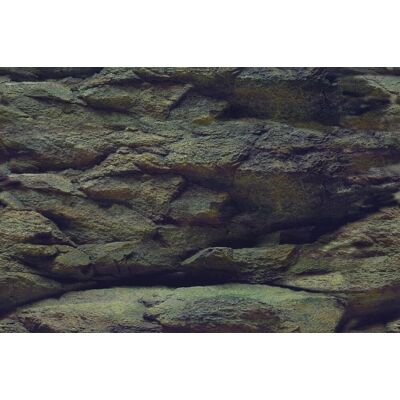OEM Sfondo Per Acquario 150x60cm Foto Murale Rocce/piante Poster Bifacciale OEM Sfondo Per Acquario 150x60cm Foto Murale Rocce/piante Poster Bifacciale