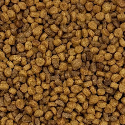 OEM Maxipet, Alimento Secco Completo Per Gatti Con Manzo, Confezione Da 10 Kg. OEM Maxipet, Alimento Secco Completo Per Gatti Con Manzo, Confezione Da 10 Kg.